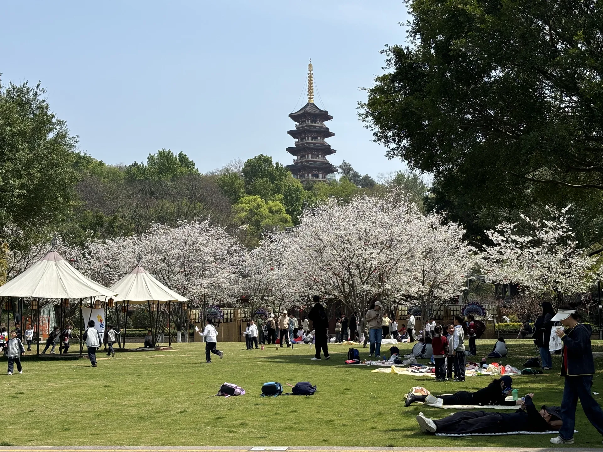 鹿城区 鹿城区电信宽带 宽带套餐
